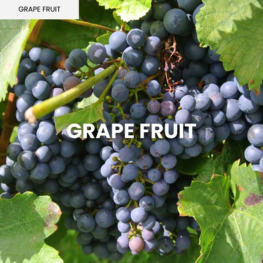Grape Fruit