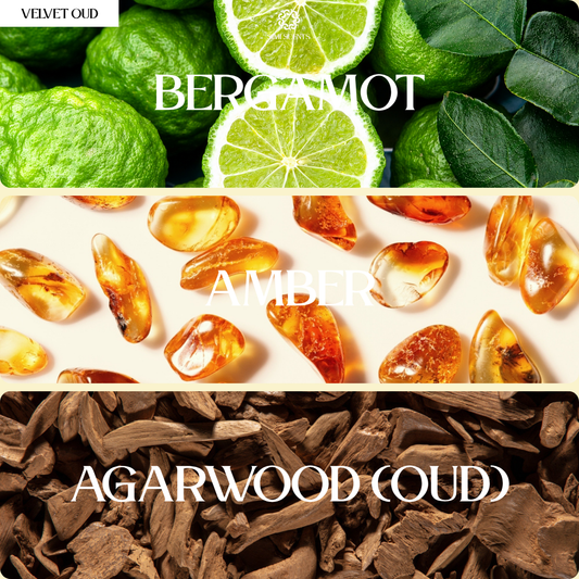 Velvet Oud
